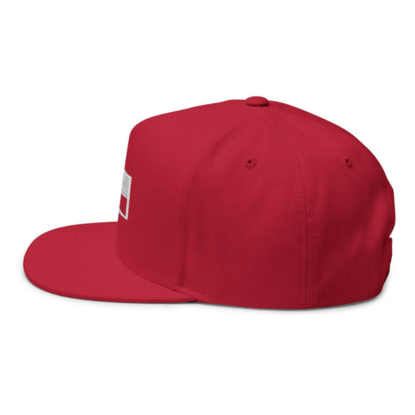 Texas Oilfield Flat Bill Hat